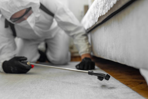 Professional Bed Bug Control technician working in Libertyville, IL
