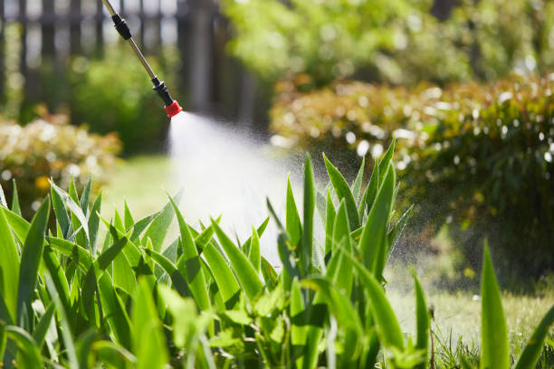 24/7 Emergency Bed Bug Control experts in Libertyville, IL
