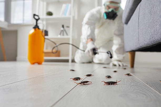 Trusted Cockroach Control service in Libertyville, IL - Nex Pest Control