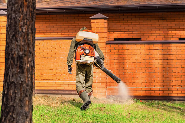 Trusted Bed Bug Control service in Libertyville, IL - Nex Pest Control